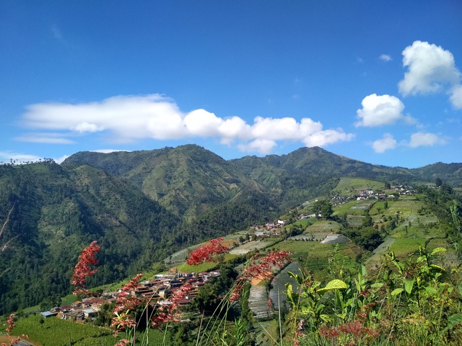Berita